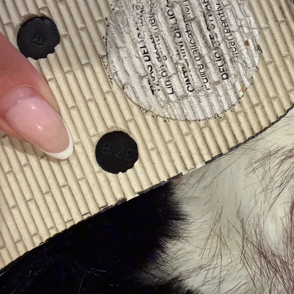 Dolce & Gabbana Black Fur Flip Flops - Picture 4 of 5